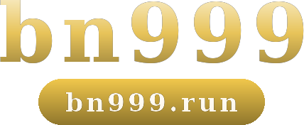 bn999 logo